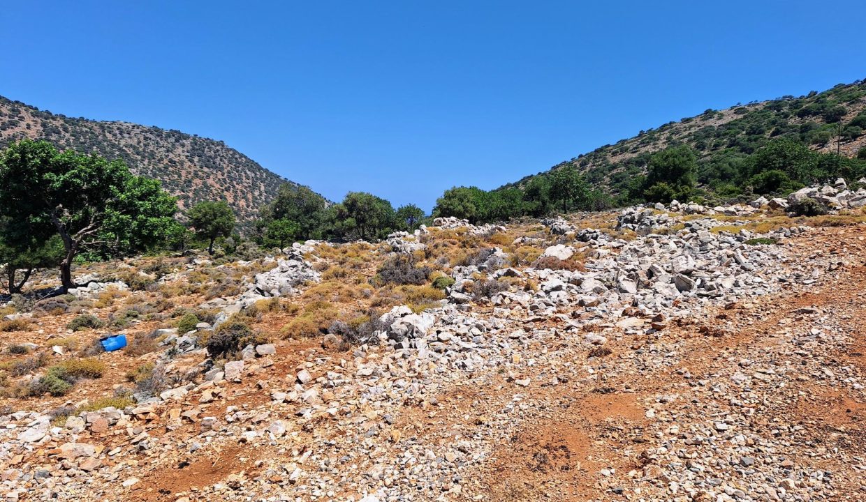 HM-L1 photo (11)