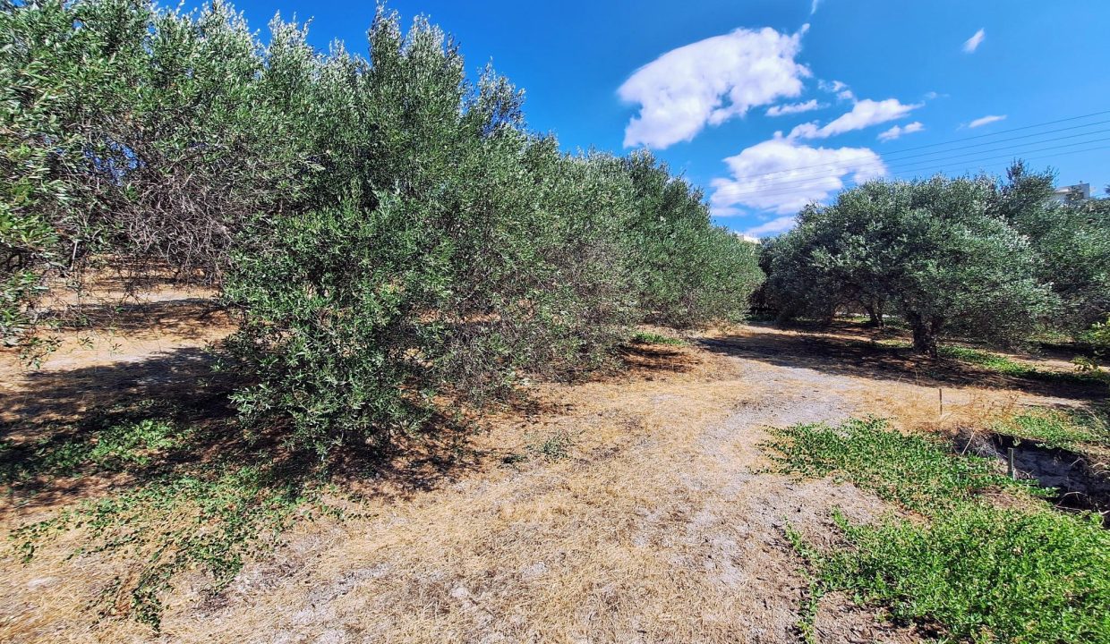 HG-L1 photo (10)