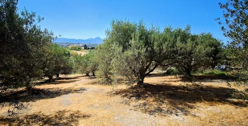 Large plot near University General Hospital of Heraklion – Build up to 1874 m2