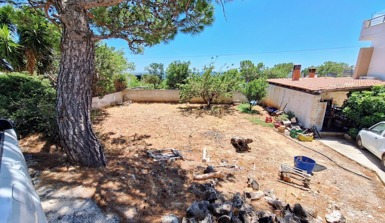 Large garden (west)