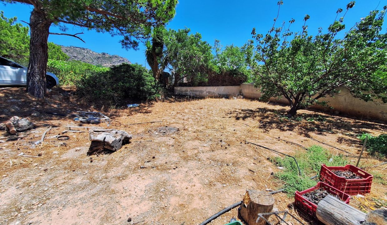 Large garden (west)