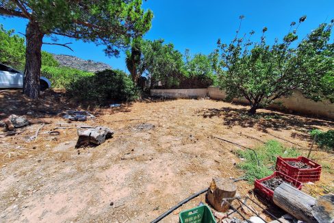 Large garden (west)