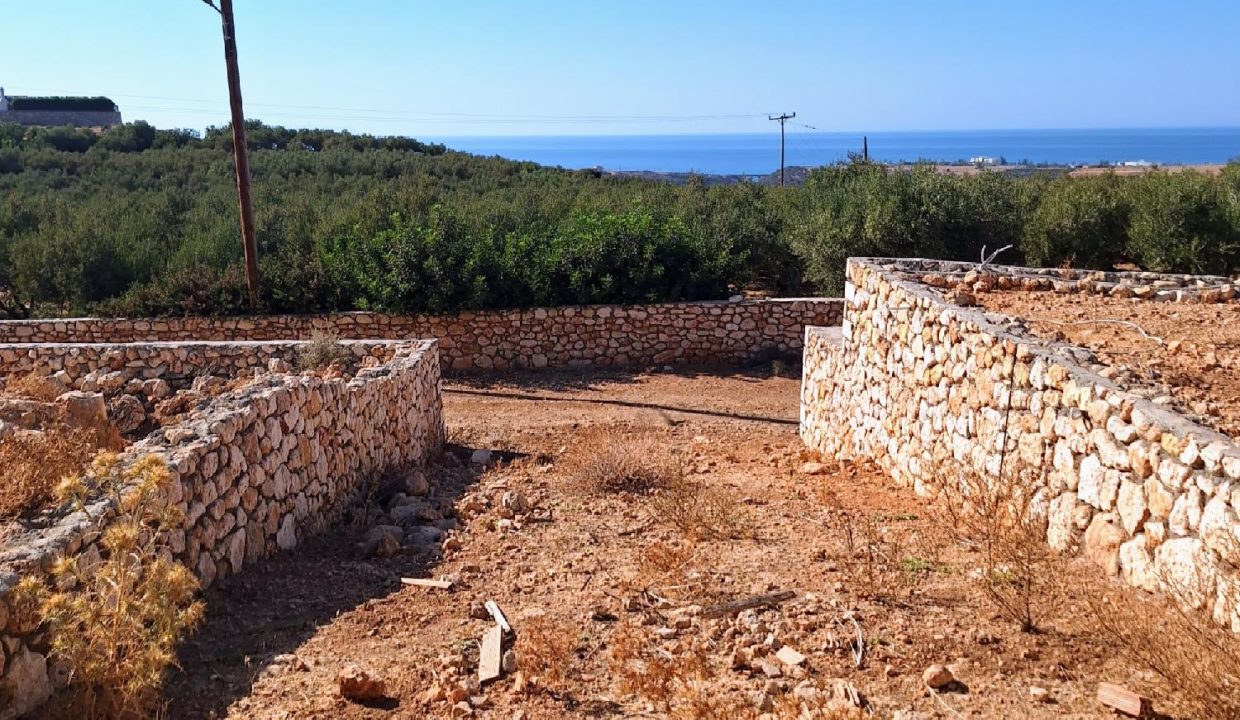 RMA-HT1 photo (16)