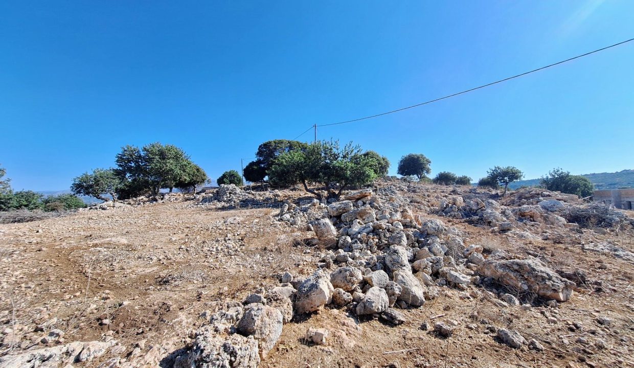 RMA-HT1 photo (20)