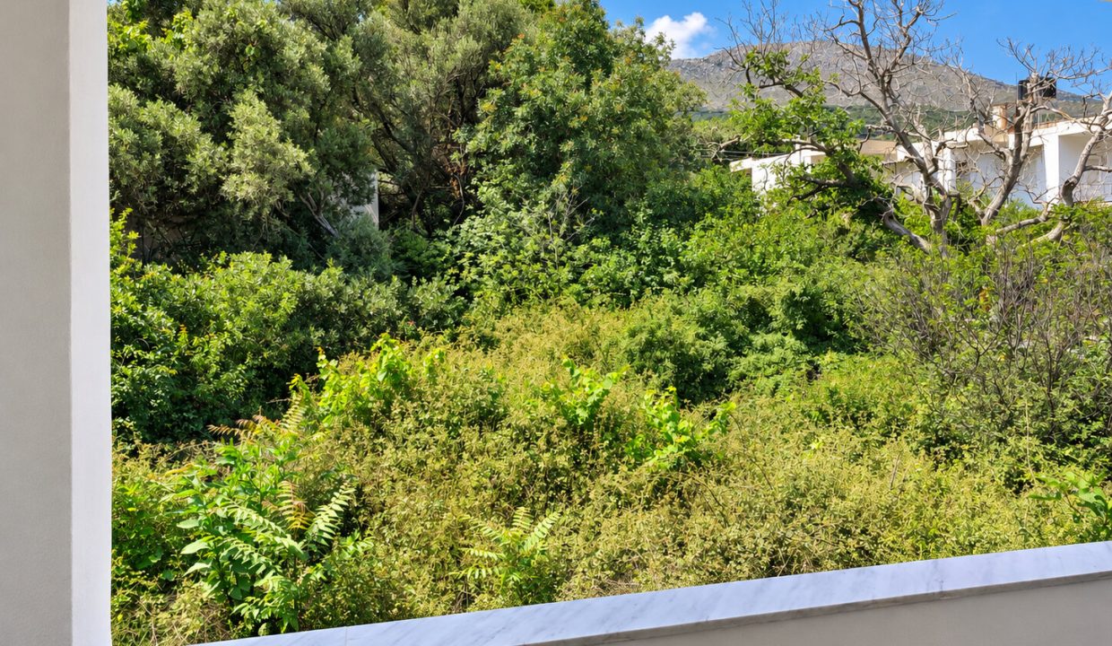 1st floor - view from kitchen balcony